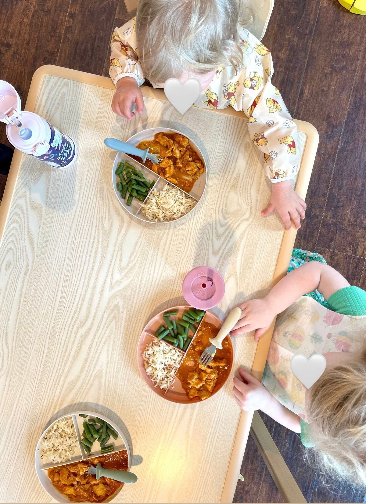 Home-cooked lunch of chicken, rice and green beans on divided plates